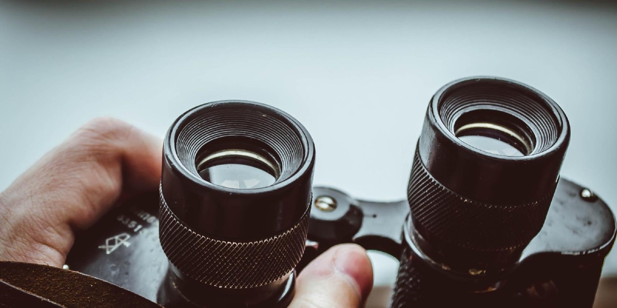 How to zoom in PhotoStructure