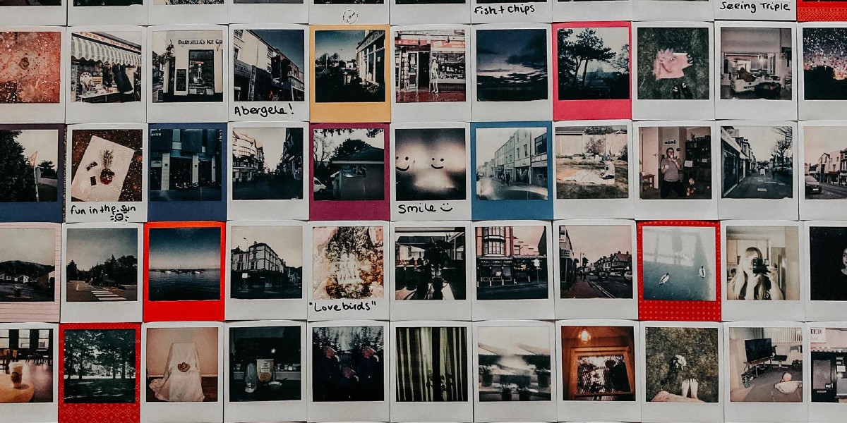 How to search your PhotoStructure library