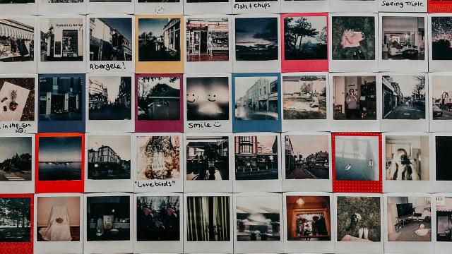 How to search your PhotoStructure library