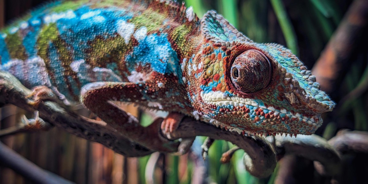 Photo and video import tools