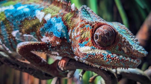 Photo and video import tools