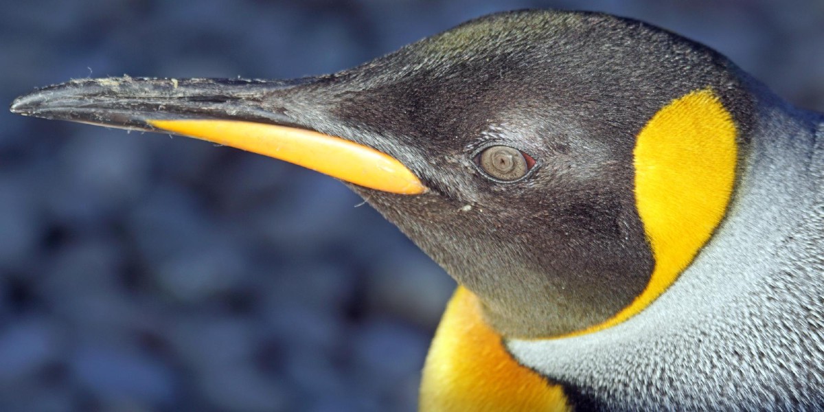 Linux troubleshooting