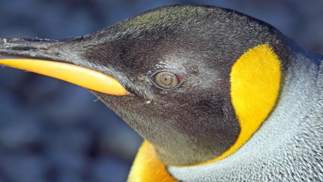 Linux troubleshooting